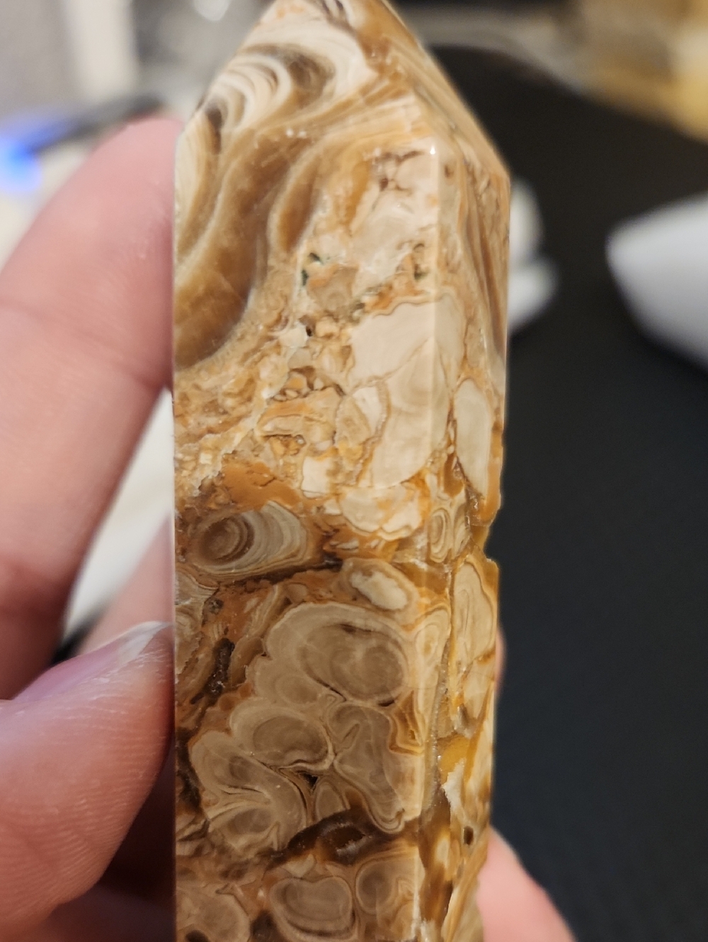 Fossiliferous Limestone/Calcite Point/Tower - Picture 8 of 11